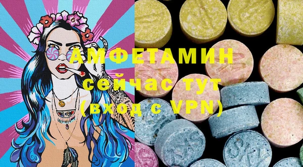 ГАЛЛЮЦИНОГЕННЫЕ ГРИБЫ Алзамай