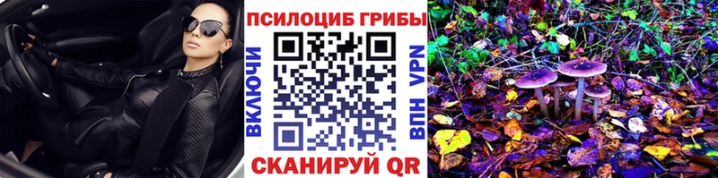 Галлюциногенные грибы мухоморы  как найти   Борзя 