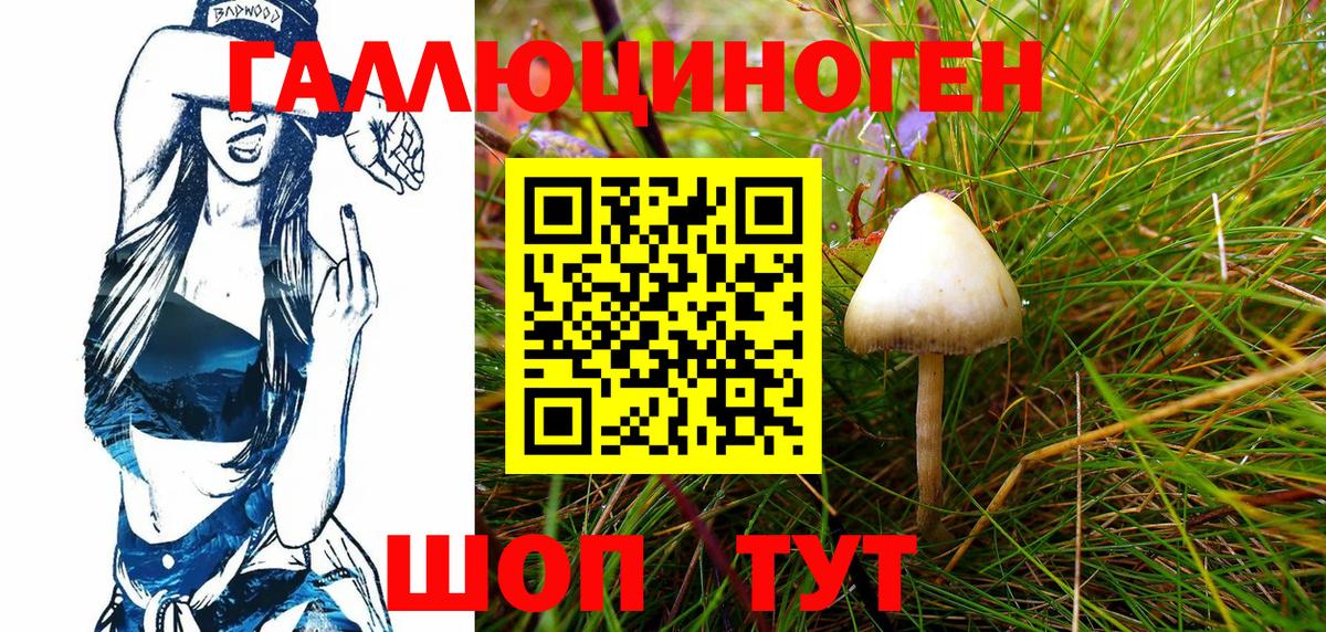 Галлюциногенные грибы Magic Shrooms  Вход с VPN  Борзя 