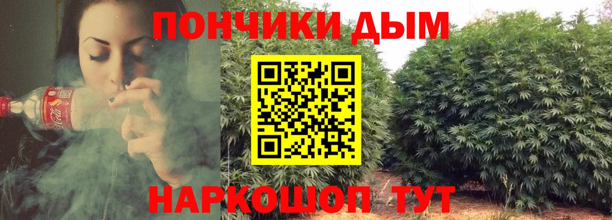 Каннабис семена  Канабис план  Марихуана индика  Вход с VPN  Борзя 